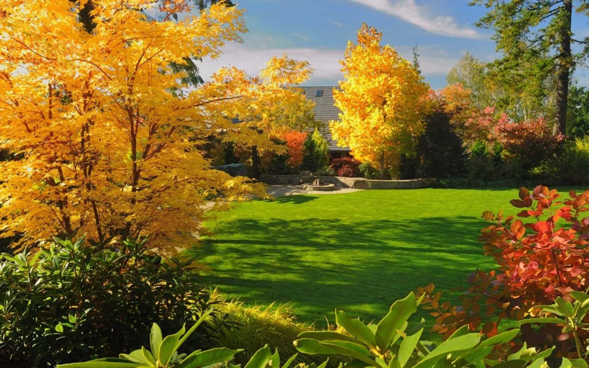 bc tree care and tree service