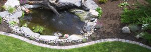 creating a water garden for your home