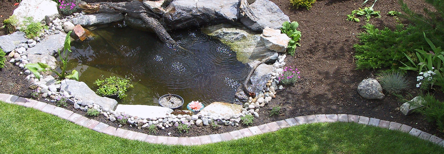 creating a water garden for your Nanaimo home