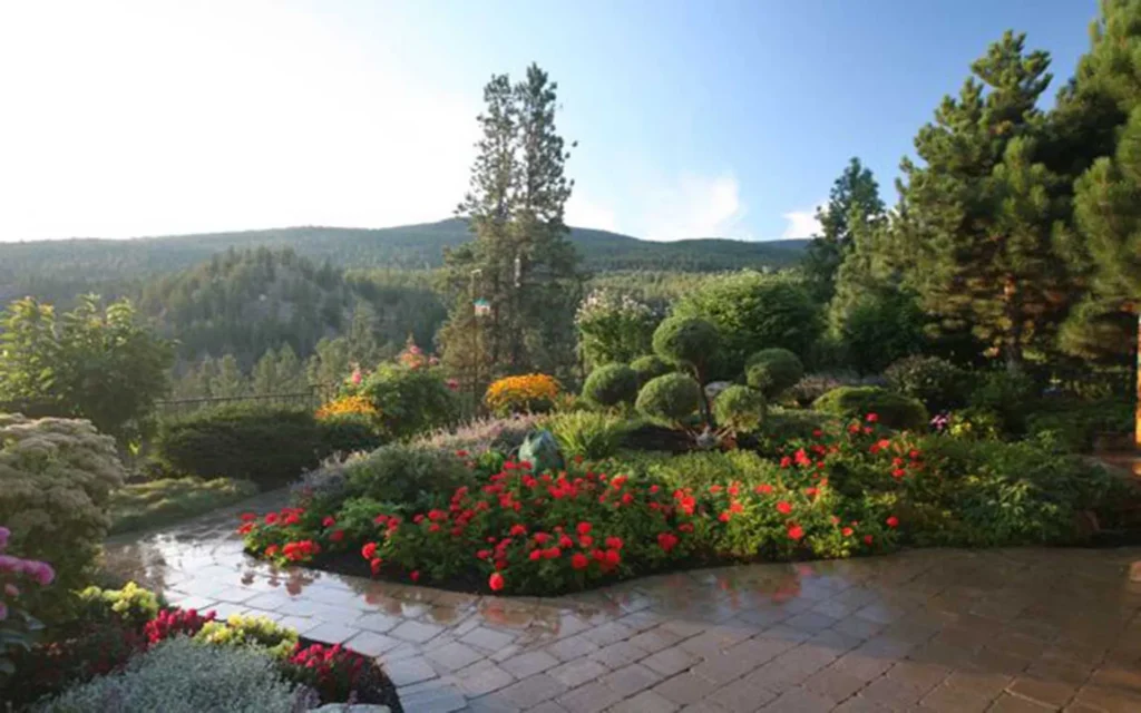 creative landscaping