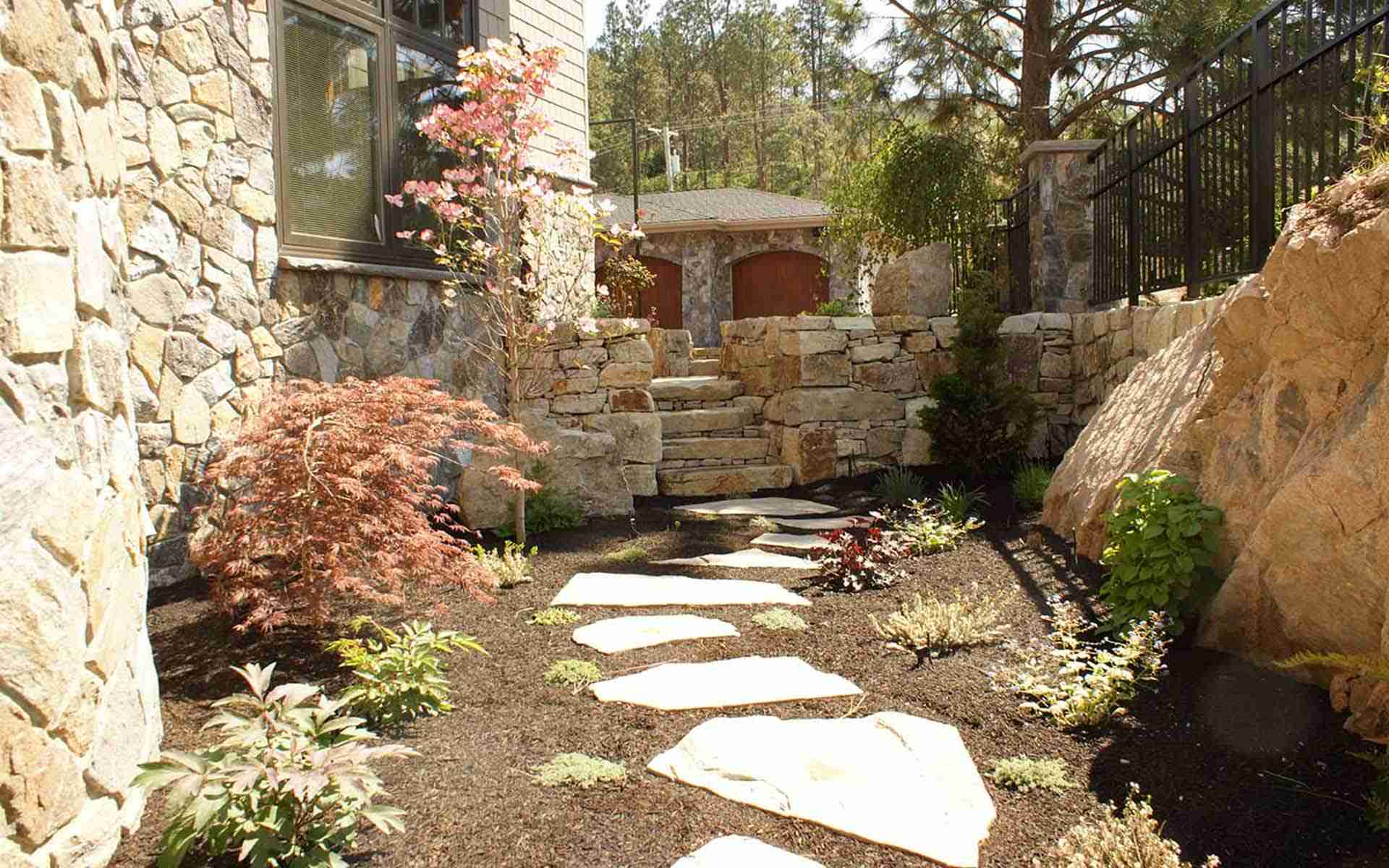 flowering dogwood tree planting job - landscaping nanaimo