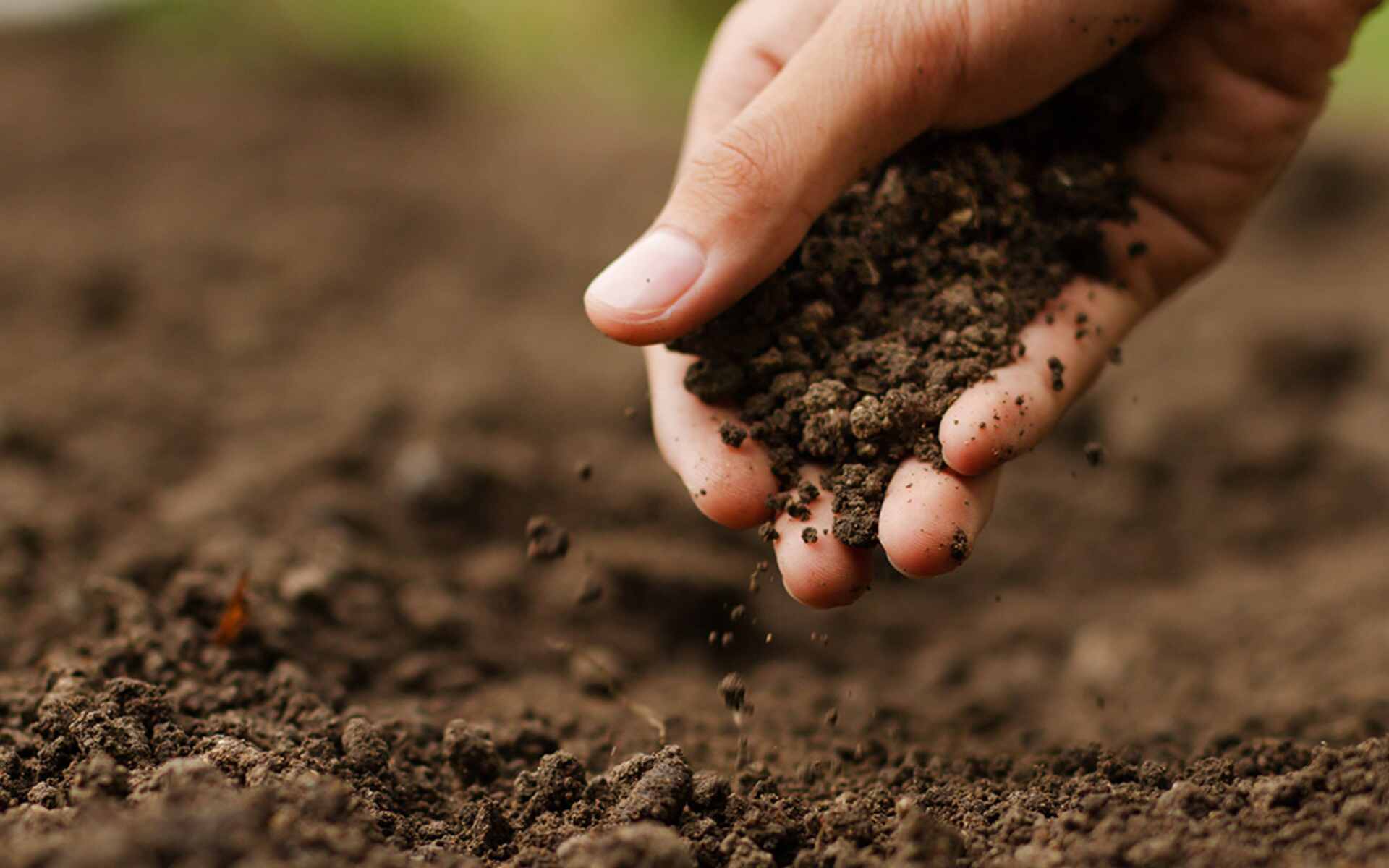 how to improve topsoil in Nanaimo