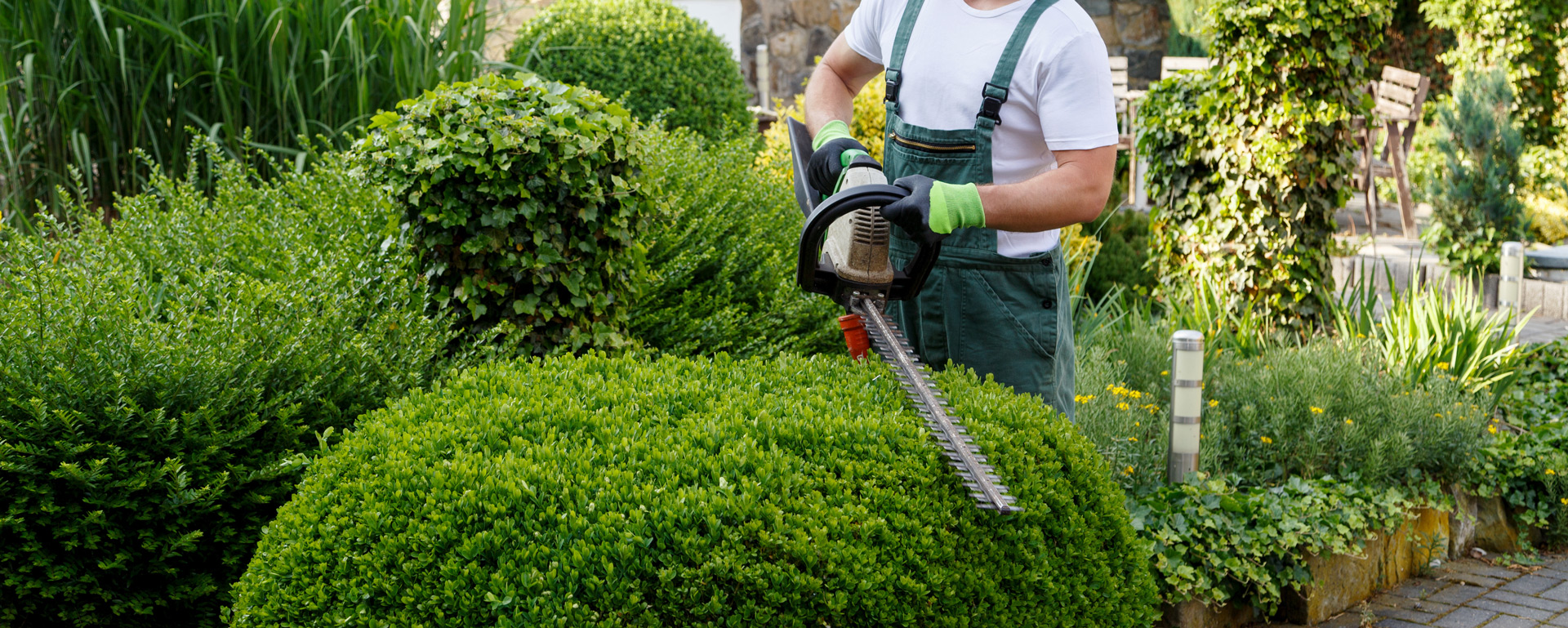 Garden Maintenance nanaimo