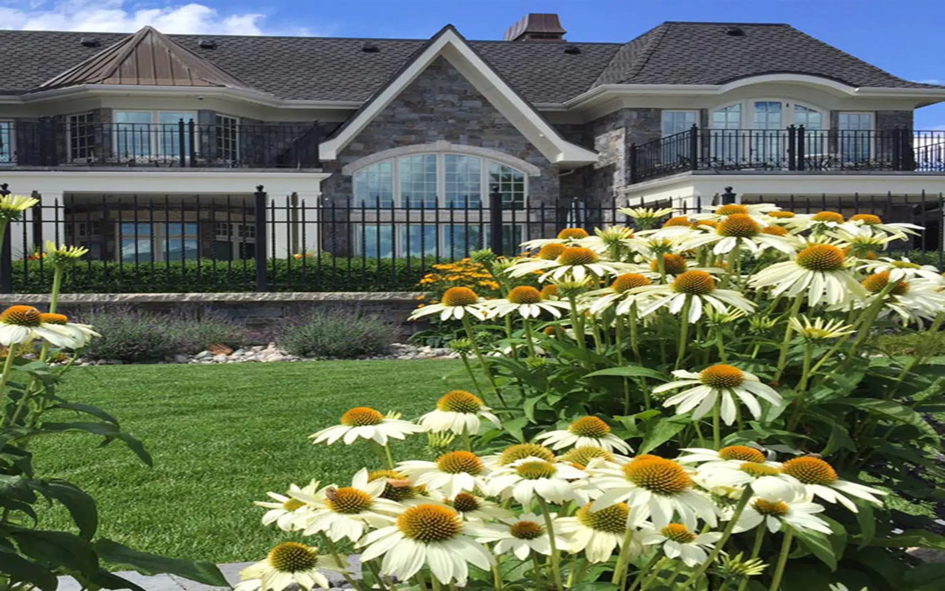 Contact us Shasta daisies and lavender - Nanaimo landscape quotes