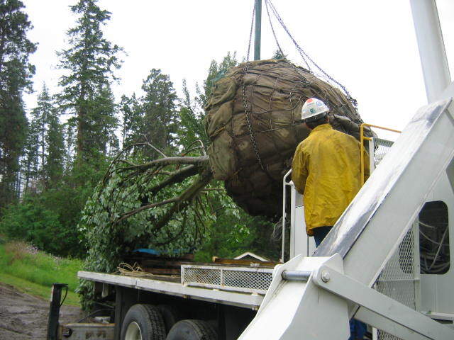 project completion - planning nanaimo