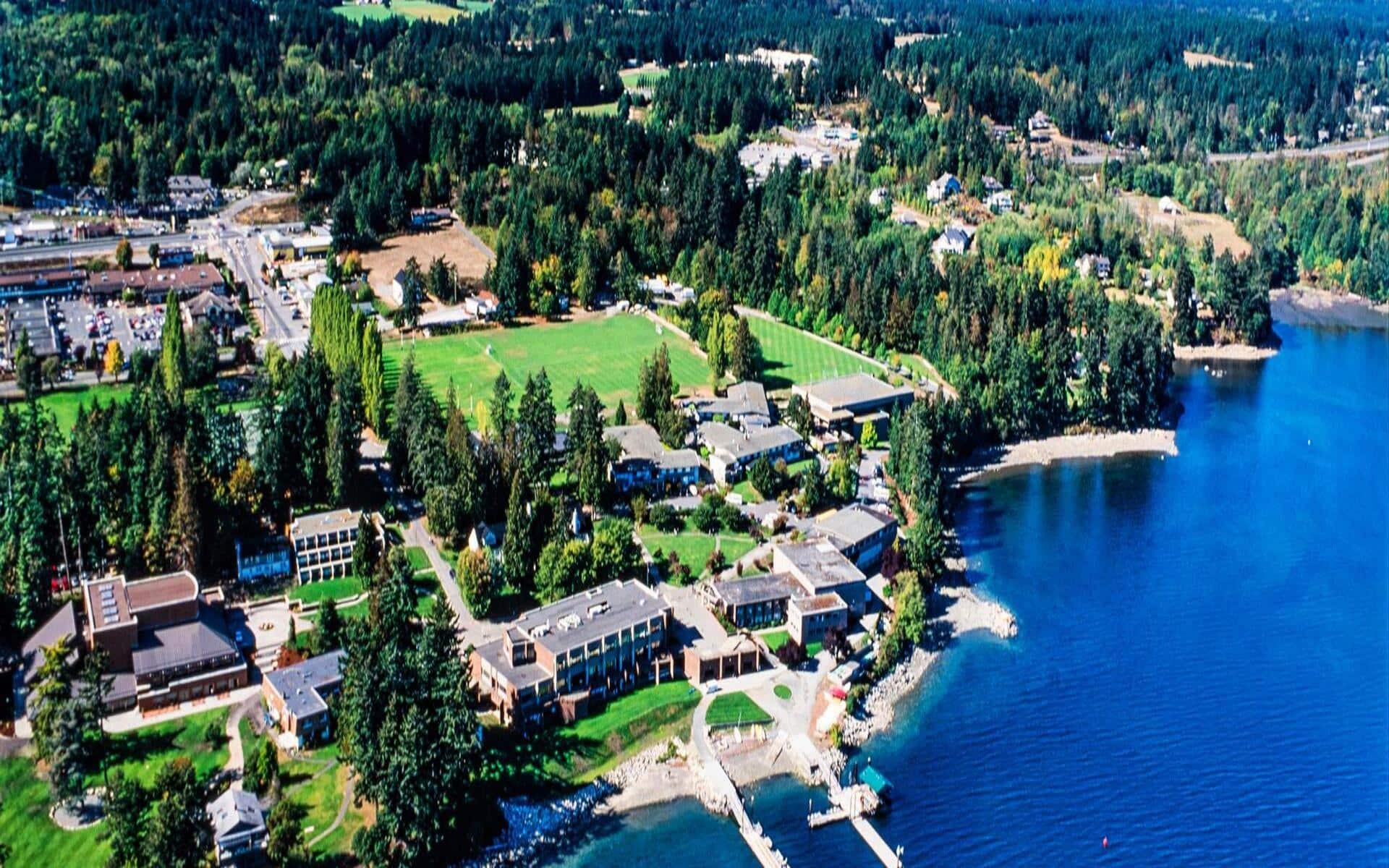 service area mill bay