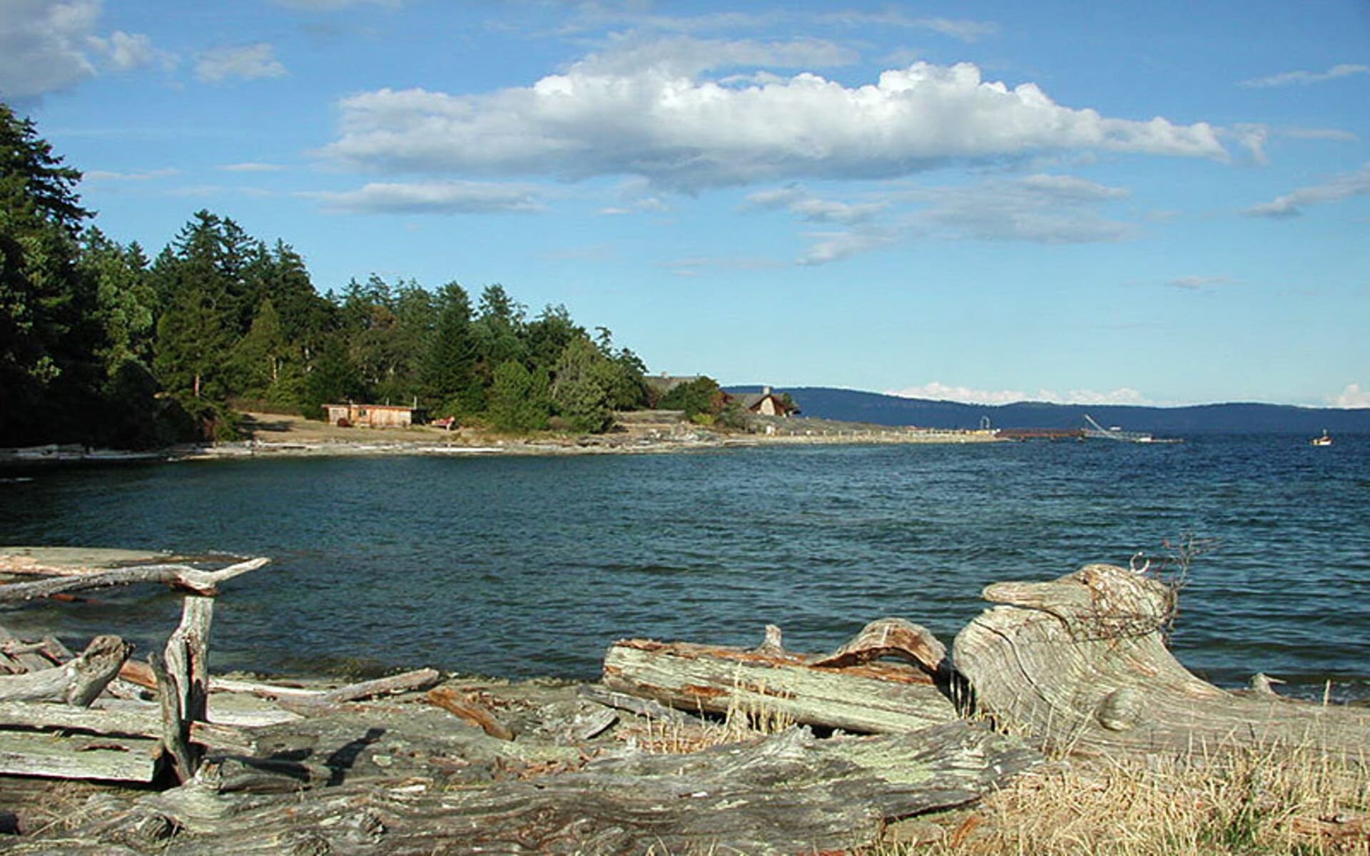 service area yellow point