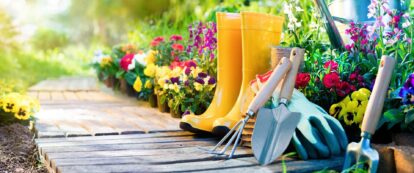 easy and low maintenance landscaping ideas for beginners - North nanaimo