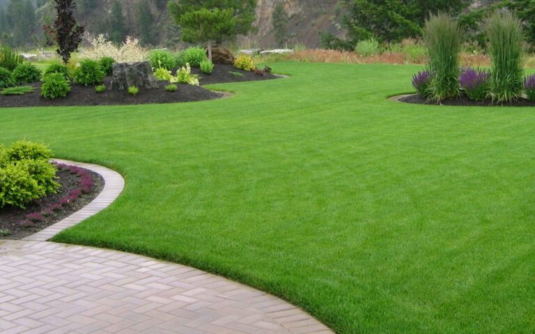 green grass sod lawn and patio