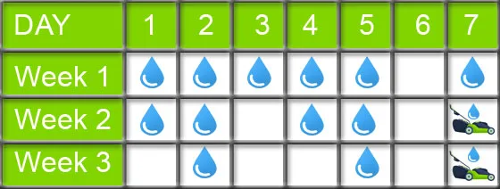 nanaimo new sod watering schedule