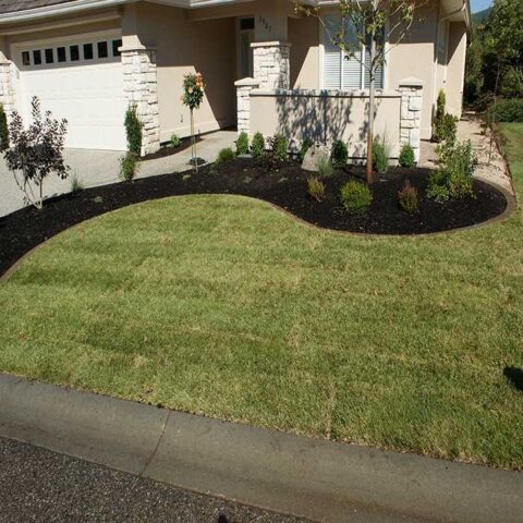 new laid sod and bark mulch beds