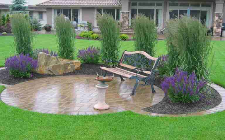 ornamental grasses canada