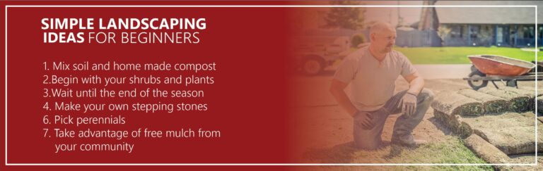 simple landscaping ideas for beginners