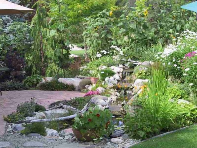 pond and planting beds Hammond Bay