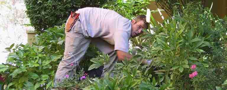 garden maintenance Nanaimo