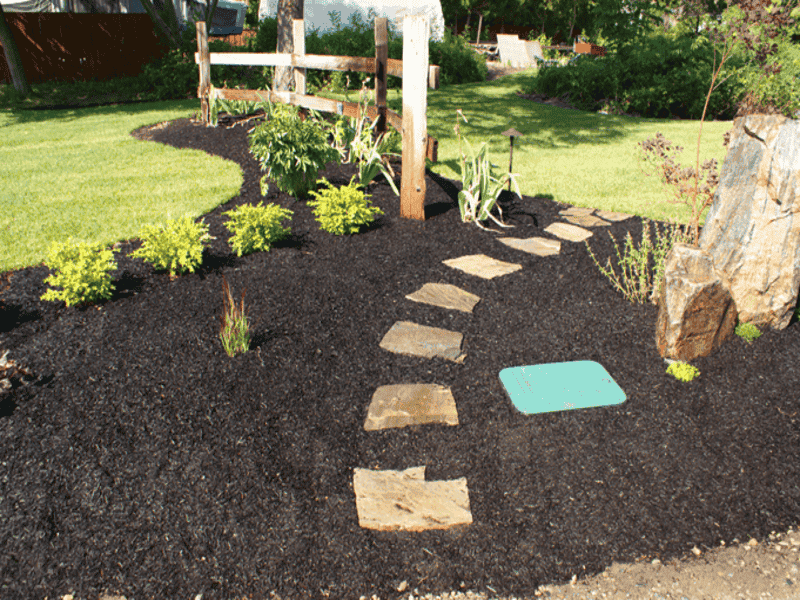 Crofton landscape planting and stepping stones